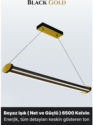 Enzo Light Mira Gold 3000K Lineer LED Sarkıt Avize – Kumandalı Dim Edilebilir – Aşağı Işık