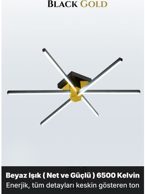 Enzo Light Nova 6 Gold 6500K LED Tavan Avize – Kumandalı Dim Edilebilir – Aşağı Işık