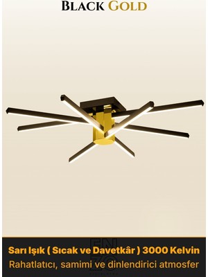 Enzo Light Nova 8 Gold 3000K LED Tavan Avize – Kumandalı Dim Edilebilir – Aşağı Işık