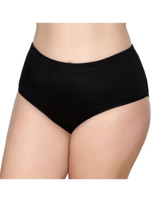 3'lü Kadın Bato Külot Geçme Lastik-Gümüş 3040-3041