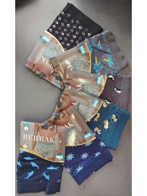 Berrak 3'lü Desenli Erkek Likralı Boxer 4480