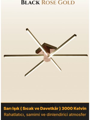 Enzo Light Nova 6 Rose Gold 4000K LED Tavan Avize – Kumandalı Dim Edilebilir – Aşağı Işık