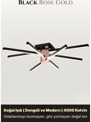 Enzo Light Nova 8 Rose Gold 3000K LED Tavan Avize – Kumandalı Dim Edilebilir – Aşağı Işık