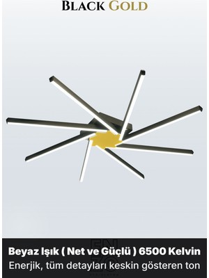 Enzo Light Zenit 8 Gold 6500K LED Tavan Avize – Kumandalı Dim Edilebilir – Aşağı Işık