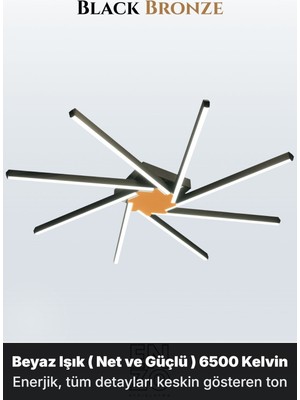Enzo Light Zenit 8 Bronz Doğal Işık 4000K LED Tavan Avize – Kumandalı Dim Edilebilir – Aşağı Işık