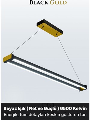 Enzo Light Vega Gold 3000K Lineer LED Sarkıt Avize – Kumandalı Dim Edilebilir – Aşağı Işık