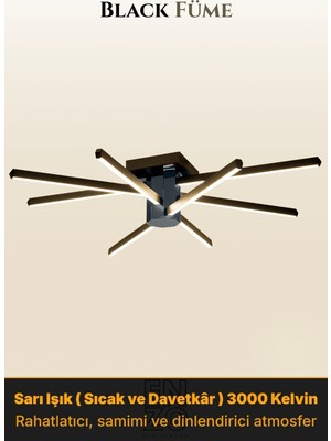 Enzo Light Nova 8 Füme 4000K LED Tavan Avize – Kumandalı Dim Edilebilir – Aşağı Işık