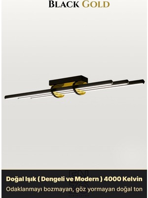 Enzo Light Cosmo Tavan Kumandalı Dimmerli Salon Tavan Avizesi - LED Gold Kumandalı Dimmerli