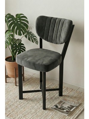 Gold Falez Sandalye 1 Adet Baby Face Kumaş Metal Modern Mutfak Sandalyesi Cafe Balkon Ofis Elma 9815 Antrast