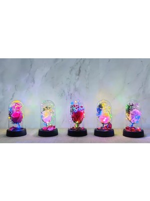 MiraLive Işıklı Müzikli Romantik Büyük Gül