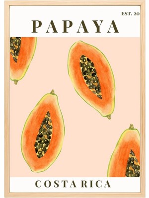 Natürmort Tablo Siyah Çerçeveli Tablo