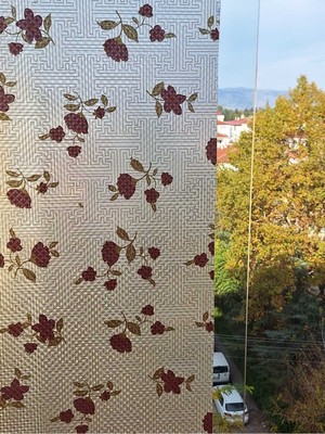 Başak Ev Tekstili Cam Filmi Kaplama Statik Folyo Buzlu Desenli Duşa Kabin Pencere Ofis Dekorasyon