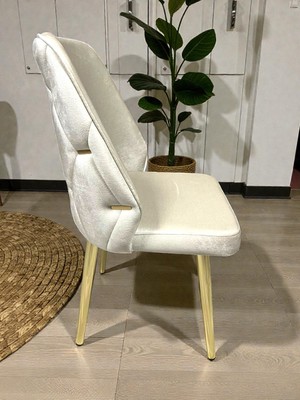 Msy Home 6 Kişilik Gold Ayak Krem Yönsüz Kumaş Modern ve Şık Sandalye Takımı
