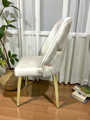 Msy Home 4 Kişilik Gold Ayak Krem Yönsüz Kumaş Modern ve Şık Sandalye Takımı