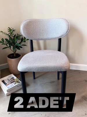 Msy Home 2 Adet Jerry Kumaş Trendy Modern Sandalye Takımı