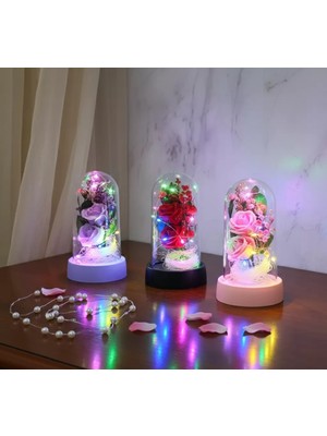 Pileli Store Işıklı Müzikli Romantik Fanus Tekli Gül