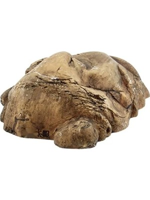 Esranın Dünyası Sürüngenler Için Doğal Görünümlü Saklama Mağarası, L Boy