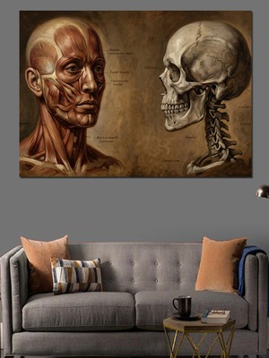 Artmeg Insan Anatomisi Kas ve Iskelet Dekoratif Kanvas - Mdf Ahşap Tablo