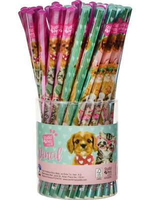 Dolphin Kurşun Kalem Studio Pets Pt-6372 (60 Lı Paket)