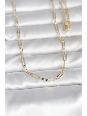 Hayat Store cm 14K Gold Renk Ataç Zincirli Model 60 cm Kadın Kolye - Lisinya