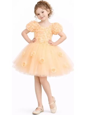 Diamondstar Kız Çocuk Güllü Parti Kıyafeti Dogum Günü ve Gösteri Kostümü Elbisesi 2/12 Yaş