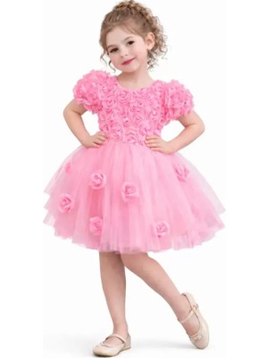 Diamondstar Kız Çocuk Güllü Parti Kıyafeti Dogum Günü ve Gösteri Kostümü Elbisesi 2/12 Yaş