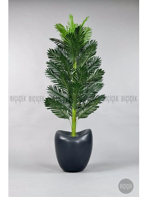 Biçiçek Yapay Areka Ağacı Tek Gövdeli 200 cm Bone Saksıda