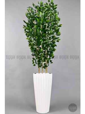 Biçiçek Yapay Benjamin Ağacı 6 Dallı Yoğun Yapraklı 220 cm