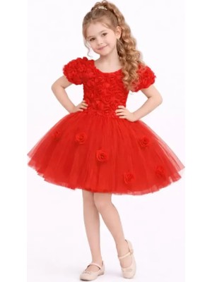 Diamondstar Kız Çocuk Güllü Parti Kıyafeti Dogum Günü ve Gösteri Kostümü Elbisesi 2/12 Yaş