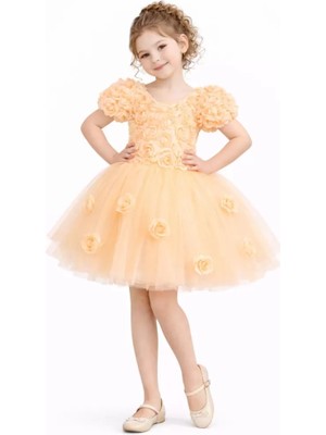 Diamondstar Kız Çocuk Güllü Parti Kıyafeti Dogum Günü ve Gösteri Kostümü Elbisesi