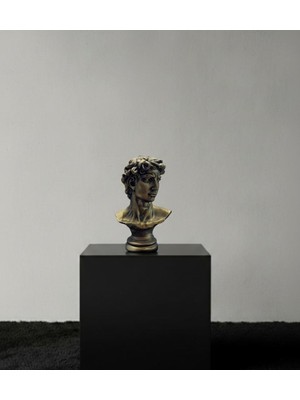 Lamazif Dekoratif Michelangelo David Büst Heykeli 38X26 cm | Boyanabilir Polyester Biblo | Rönesans Dekor Objesi | Ev & Ofis Dekorasyonu