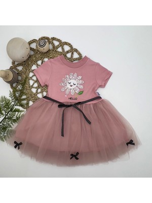 Senka 1-2-3 Yaş Payet Yapraklı Çiçek Nakışlı Astarlı Kız Bebek Tütü Elbisesi Gül Kurusu