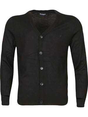 San&Fa Büyük Beden Baharlık Erkek Hırka