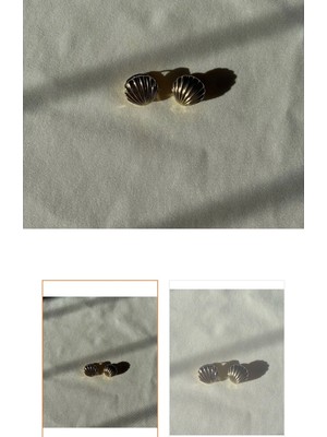 Altın Renk Deniz Kabuğu Küpe | Paslanmaz Çelik Minimal Şık Küpe