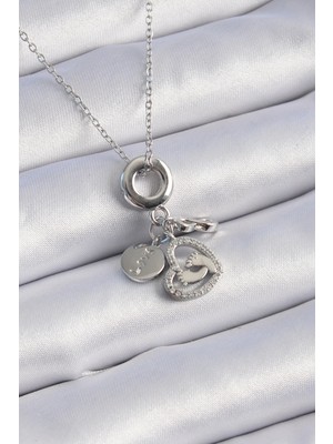 DS LLC Ietaks™ 316L Çelik Gümüş Renk Zirkon Taş Detay Kalp Model Charm Kadın Kolye