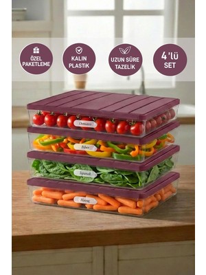 Selka Home 4 Adet 2,25 Lt. Nora Organizer Buzdolabı Buzluk Düzenleyici Saklama Kabı
