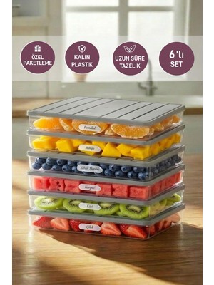 Selka Home 6'lı 2,5 Lt. Buzdolabı Buzluk Düzenleyici Saklama Kabı Açık Gri Dayanıklı Plastik