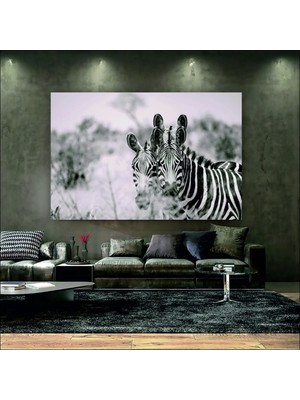 Şehzat Yüksek Çözünürlüklü Doğa Temalı Zebra Fotoğraflı Modern Kanvas Tablo