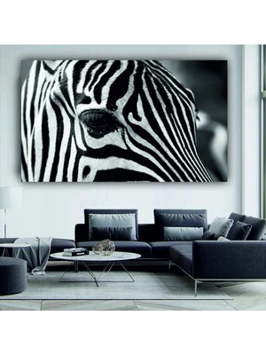 Şehzat Yüksek Çözünürlüklü Doğa Temalı Zebra Fotoğraflı Kanvas Tablo