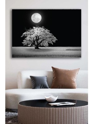 Şehzat Kanvas Duvar Tablosu Baskılı Dekoratif Kara Gece Dolunay Beyaz Ağaç Ev Ofis Dekor Hediyelik Tablo