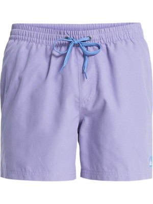 Quiksilver Everyday 15 Erkek Şort EQYJV04120-QK.PKS0