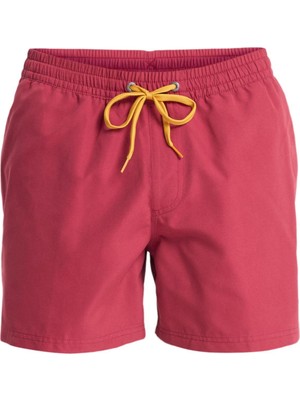 Quiksilver Everyday 15 Erkek Şort EQYJV04120-QK.RQZ0