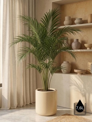 Store Softa Beton Saksı 7lt 24X24 Modern Minimal Dekoratif Iç Mekan Salon Ofis Saksısı Yuka Areka Kaktüs