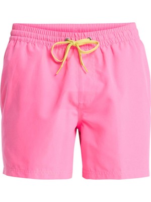 Quiksilver Everyday 15 Erkek Şort EQYJV04120-QK.MJB0