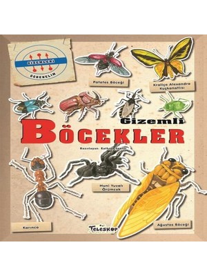 Gizemleri Öğrenelim - Böcekler
