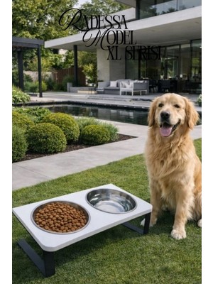 Reyo Ok-Ay Store Radessa Xl Yüksek Standlı Çift Hazneli Mama ve Su Kabı, Büyük ve Orta Boy Köpek ve Kedi Su Kabı Paslanmaz Çelik Beyaz
