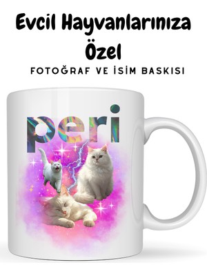 spldizayn Evcil Hayvanlarınıza Özel Tasarımlı Fotoğraf ve Isim Baskılı Kupa Bardak