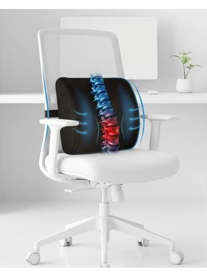 Arnee Ortopedik Ofis Sandalye Oto Araç Koltuk Bel Destek Yastığı Sırt Minderi