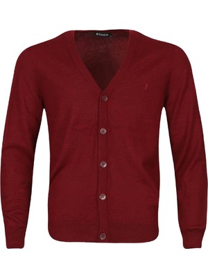 San&Fa Büyük Beden Baharlık Erkek Hırka