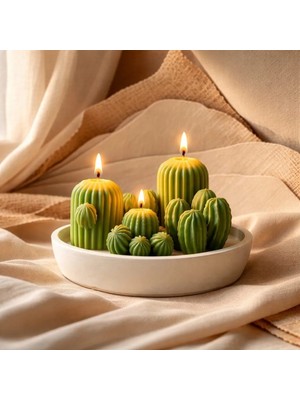 Yaratıcı Sanatlar Atölyesi Kokulu Sukulent Kaktüs Kasesi Dekoratif Tasarım Mum